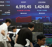 "2배 먹자" 뛰어들었다가 -70%..."그때랑 똑같다" 한국 개미 잔혹사