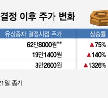 삼성·한화·포스코 등 '미래 가치 투자' 유상증자, 주가상승 원동력