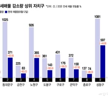 중랑·노원이라도 갈까?..."여기도 전세 씨말랐다" 매물 급감
