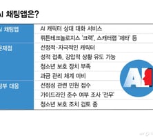 [단독]AI 채팅앱 켰더니 '자취방 여사친'…"선정적" 민원에도 조사 0건