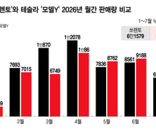 "이렇게까지 잘 팔려?" 기이한 현상..'국민 아빠차' 위협하는 테슬라
