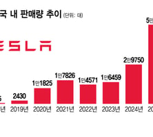 "이 '하차감'은 새롭네" 테슬라 인기 비결...돌풍 계속? 이제 끝물?