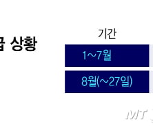 "레버리지 개미 싹 사라졌다"...뭉칫돈 다시 '여기로'