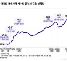 종부세 21년…'매' 들어도 서울 집값은 제 갈 길 갔다