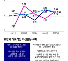[단독]M&A도 해외진출도 밸류업도 막혔다..13년만에 보험업 자산운용 규제 손질