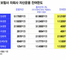"인수자금 충분한데"..한도규제 막혀 M&A '물먹는' 보험사들