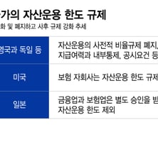 삼성전자 밸류업도 막았다..보험 자산운용 '사전규제'의 덫