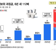 개인정보 과징금 6년 새 110배…국고 입금은 5년 뒤