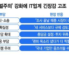 수백억 과징금, 법원서 뒤집혀도…규제 탓 '골든타임' 놓치는 IT