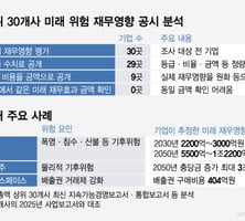 [단독] 수조원 미래손실 추정치, 법정공시 사업보고서엔 없다