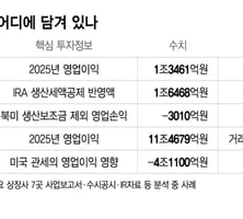 영업익 1.3조 vs 3010억 적자...같은 회사 다른 공시, 헷갈리는 개미들