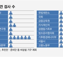 금융위부터 헌재까지…검찰 밖 검사들은 10월부터 어떻게 되나