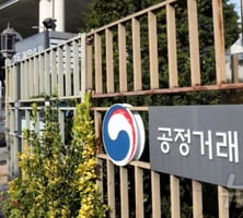 솜방망이 입증책임, 쇠몽둥이 과징금…"행정처분 수준 맞는 통제 필요"