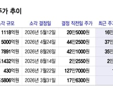 자사주 다 태우면 '밸류업'?…수조원 소각해도 주가는 뒷걸음