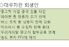 대우자판 워크아웃 "중고차사업 中진출 추진"