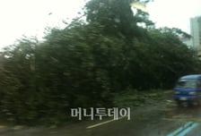 태풍 곤파스 영향, 서울 교통마비 '출근대란'