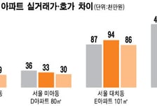 같은 아파트인데 5억 가격차…도대체 왜?