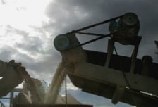 '먹잇감'따라 이동하는 '철새 건설사'