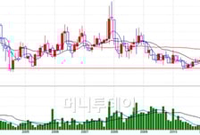 SKT '분사' "실망", 시장 관심은 '다음 카드'