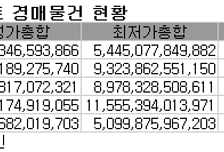 '깡통부동산' 아파트 1%경매로 넘어갔다