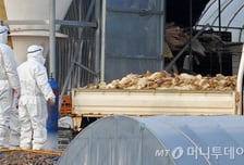 환경부, 22개 철새도래지 관찰 강화 "AI 적극대응"