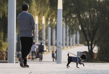 故 한일관 대표 혈액서 ‘녹농균’ 검출…저항력 저하시 치명적