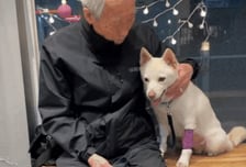 홀로 남을 단짝, 가족 좀…말기암 할아버지의 마지막 당부 [체헐리즘 뒷이야기]