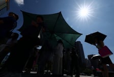 "1만6500명 지킬 수 있었는데" 올여름 얼마나 더웠냐면…[이·세·기]