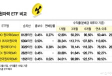 47% 뛴 이 종목 비중 높다...급등락 버틴 K원자력, 어떤 ETF 살까[ETFvsETF]