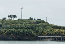 1세대 '청정섬' 죽도, 10년 만에 태양광 증설 이유[넷제로케이스스터디]