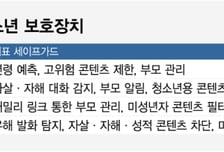 청소년 AI 어떻게 보호할까…"차단보다 맞춤형 안전장치"