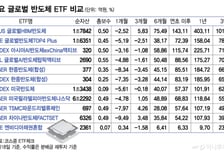 같은 글로벌 반도체 ETF인데..."수익률 6배 차이" 왜[ETFvsETF]