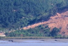 '北 책임 추궁'과 '한반도 긴장 완화'…DMZ 지뢰사고 대응 딜레마