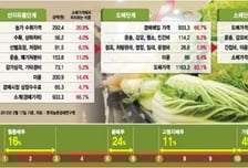 "배추 1포기=1만4000원" 그때 돈 번 사람 누구?