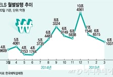 ELS로 풍차돌리기 해볼까..ELS펀드·보험도 '인기'