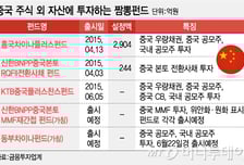 中증시과열…틈새시장 노린 짬뽕펀드 뜬다
