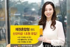 KB운용, 채권혼합형펀드 상반기 신규자금 1조원 유입