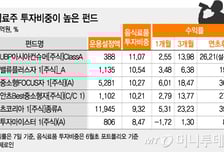 용대리에 치인 고참매니저 음식료株 상승세에 '활짝'