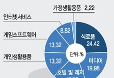 [상품포커스]ETF로 한류 기업에 투자하자