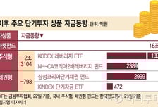 "방망이 짧게 잡자"..MMF·레버리지펀드에 돈 몰린다