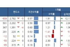 국내 주식형펀드, 4주째 플러스..브라질 급등