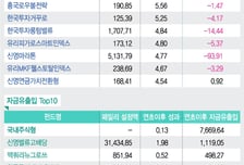 돈들어온건 배당·중소형株펀드뿐…90%는 자금유출