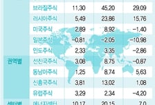 투자수익 1위 신흥국은…전문가의견 반대로만 '수익'