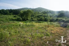 종중 토지보상금, 여자인 나도 받을 수 있나?