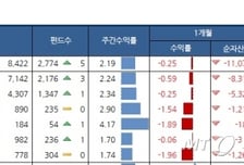 美 금리 동결에 국내 주식형 펀드↑ 