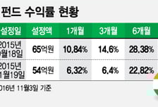 중소형주 뜨는 인도펀드, 출시 1년 안팎 수익률 20% 