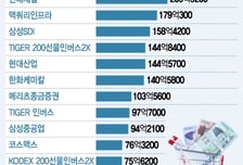 펀드매니저 연말 쇼핑목록 '고배당주-덜오른 2등주'