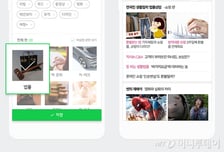 세상과 통하는 법, 내가 잘 사는 법…'네이버 법률' 첫 선