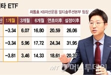 시장이기는 똑똑한 전략, 두가지 전략 섞은 짬뽕 ETF