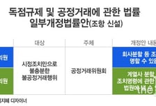 [the L 리포트] 공정위가 "기업 쪼개라" 명령?…"위헌 소지"